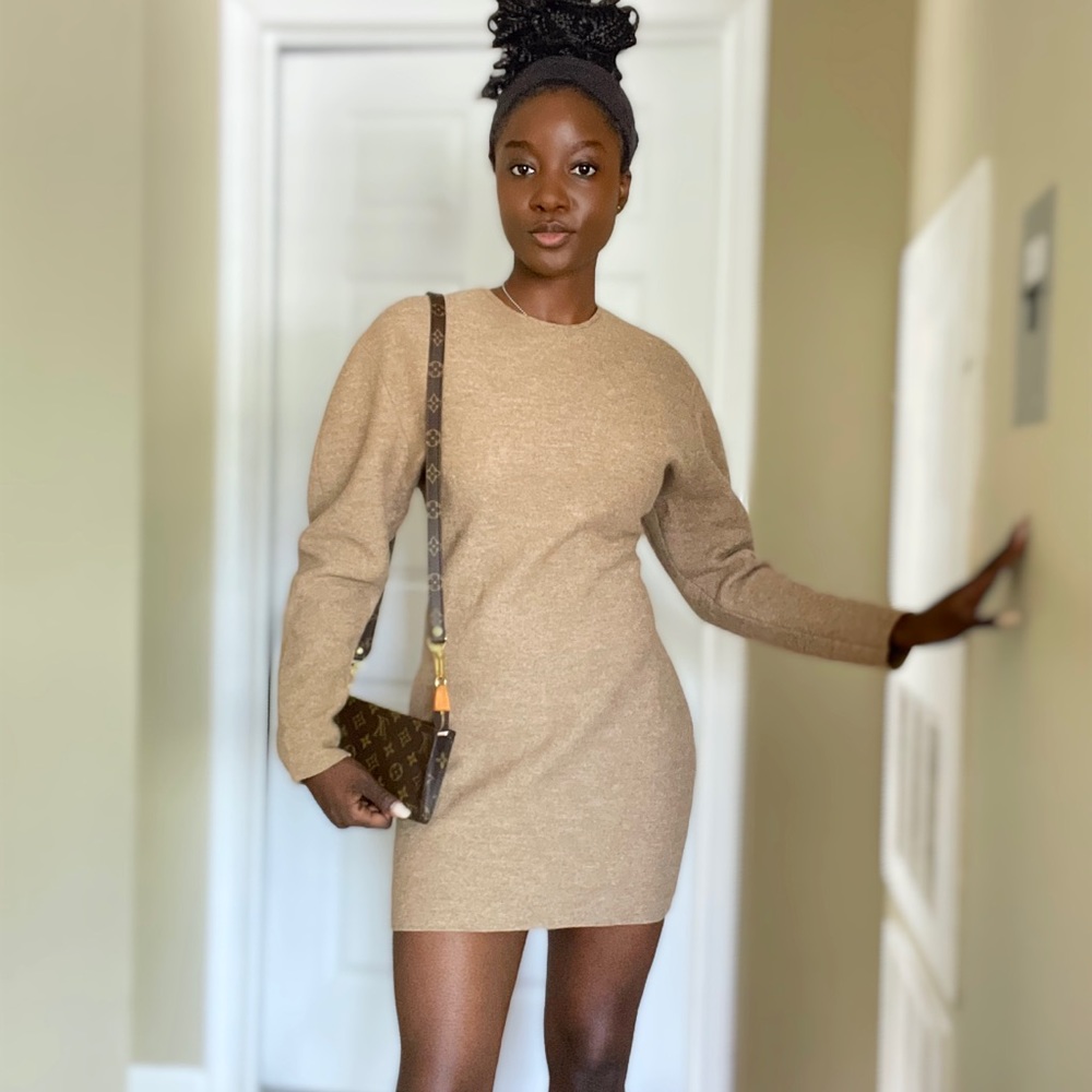 Zara Tan Long Sleeve Dress